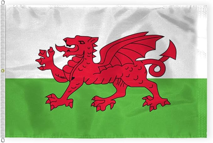 AGAS Wales Flag 8x12 ft - Outdoor 200D Nylon - 6 Needle Lock Stitched Fly Hem - Canvas Header - Rope Thimble & 1 Brass Grommet