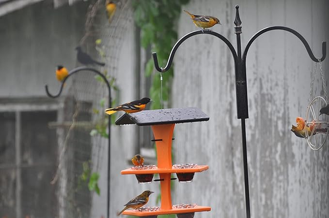 DutchCrafters Plastic Poly Double Platform Hanging Oriole Bird Feeder with Fruit Slice Holders & Nectar Cups, Jelly Bird Feeders for Outside - Amish Made in USA (Triple, Bright Orange)