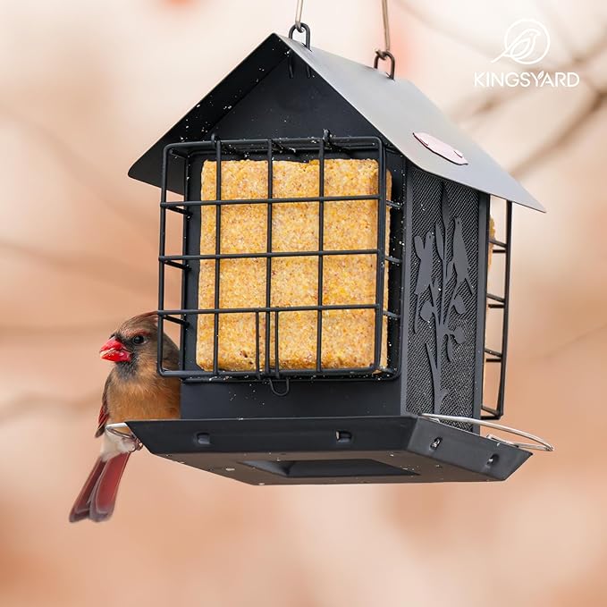 Kingsyard Metal Bird Feeder for Outdoor Hanging, Wild Bird Feeder with Double Suet Cage, Weatherproof Roof and 3 lbs Large Seed Capacity, Black