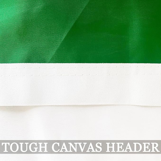 Double Sided Irish Flag 2x3 Outdoor Heavy Duty- 3Ply 240D 4 Rows Stitched- Ireland 2x3 Flag- UV Fade Resistant With Canvas Header & 2 Brass Grommets