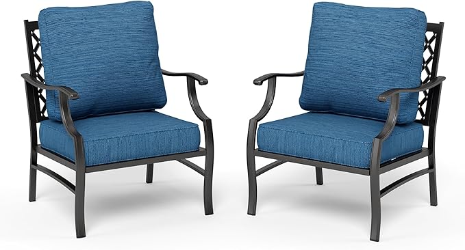 HERA'S HOUSE Outdoor Chairs Set of 2, 2 x Patio Chair with Pacific Blue Cushions, All Weather Outdoor Furniture for Lawn Garden Backyard Deck(Leg Chairs)