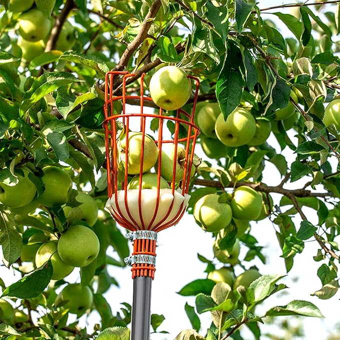 Walensee 13FT Fruit Picker, Adjustable Fruits Picker Tool with Lightweight Stainless Steel Pole and Big Basket, Fruit Catcher Equipment Tree Picker for Apples Mango Pear Orange Avocados Fruit Picking