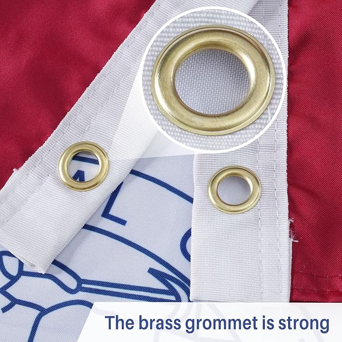 AMZFLAG Wyoming State Flag 3x5 ft Outdoor, Heavy Duty 3 Ply Polyester WY Wyoming Flags with 2 Brass Grommets, Patriotic Double Sided State of Wyoming Flag