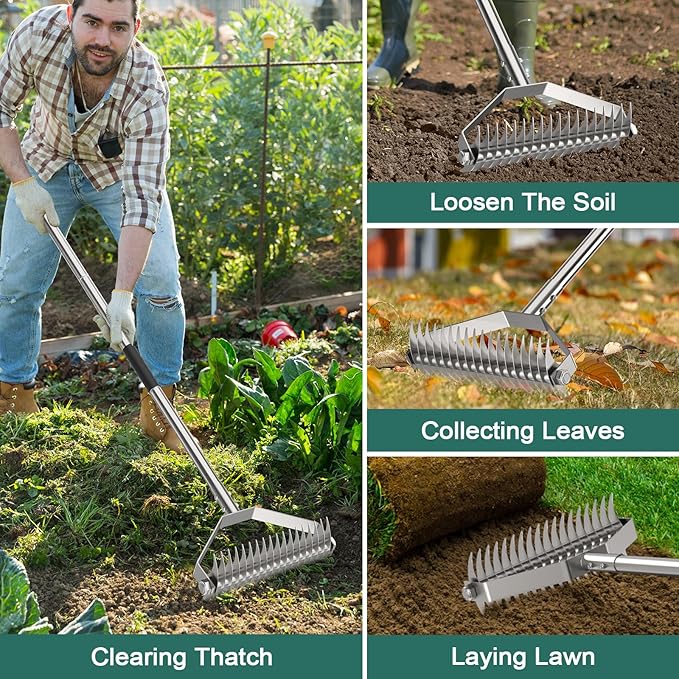 Thatch Rakes for Lawns,14.2-Inch Thatching Rake,304 Stainless Steel Dethatcher Rake with Adjustable Handle and 2 Extra Replaceable Blades,Heavy Duty Rakes for Cleaning Dead Grass and Loosening Soil