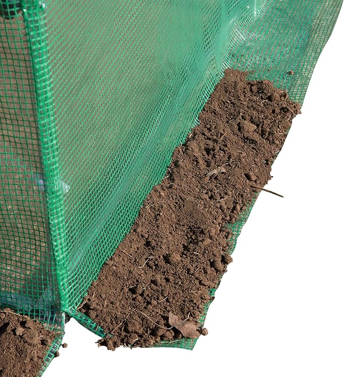 Outsunny 10' x 10' x 6.5' Walk-in Tunnel Hoop Greenhouse, Polyethylene PE Cover, Steel Frame, Roll-Up Zipper Door & Windows for Flowers, Vegetables, Tropical Plants, Green