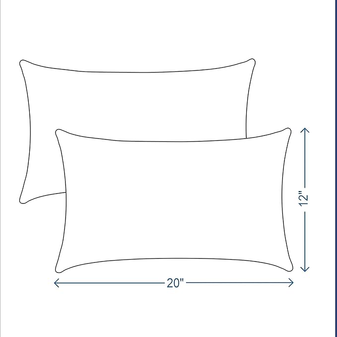 ADLIVWYD Lumbar Pillows for Indoor Outdoor uses,Waterproof Removable Cover with Zipper Outdoor Pillows Set of 2 for Patio Furniture,12×20 Inch (Charcoal Floral)