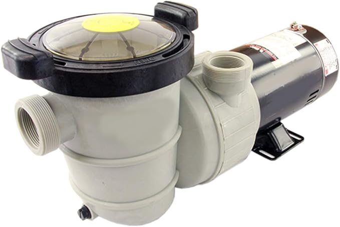 Rx Clear Dorado 1-1/2 HP Dual Port Pump | Above-Ground Swimming Pool Pump | 115V 9 Amps | See-Through Strainer Cover | Energy Efficient | Low Maintenance