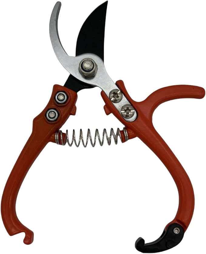 Upgrade Your Gardening Tools with Modern Pruning Shears – Precision Herb Snips, Flower Cutting Scissors, and Easy-Lock Safety Catch for Effortless Trimming.