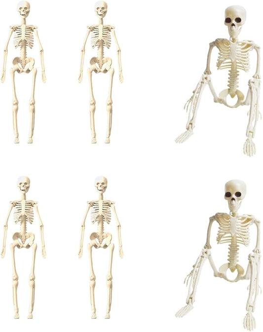 6 Pcs Realistic Spooky Scary Skeletons for Halloween, 16 Inch Outdoor Skeletons Decorations, Skeleton Bulk with Movable Joints for Garden Haunted House Props