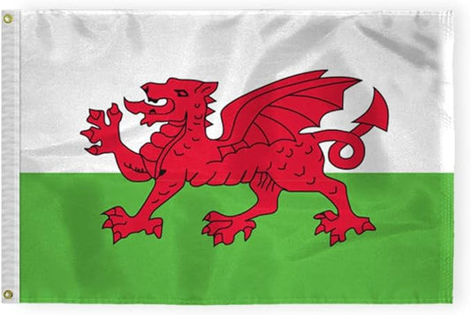 AGAS Wales Flag 2x3 ft Outdoor 200D Nylon Double Stitched Hem Never Rust Brass Grommets Canvas Header Welsh National Flag
