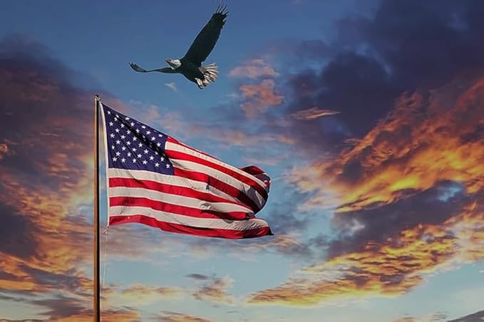 American Flag 10x15ft Long Lasting for Outside, Heavy Duty Nylon, Embroidered Stars, Brass Grommets, Perfect for Outdoor US Flags Show Your Patriotism
