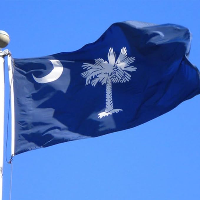 AMZFLAG South Carolina Flag 3x5 feet Heavy Duty 3 Ply SC South Carolina State Flags, Thick Material Palmetto State Flags with 2 Brass Grommets