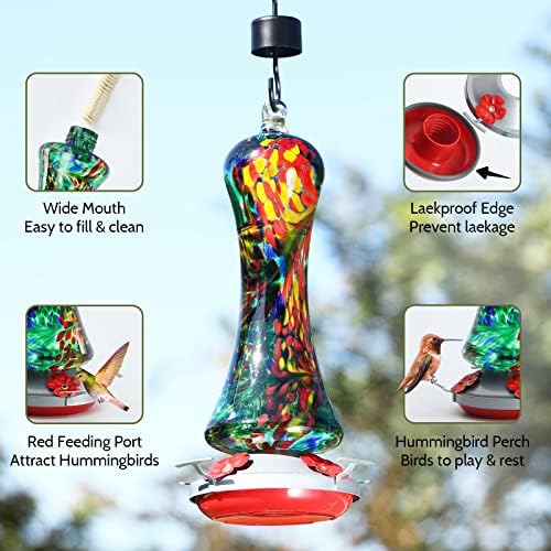 Glass Hummingbird Feeder for Outdoors: Leak Proof Hanging Hummingbirds Present for Women - Ant Moat & Hang Hook Included, Metal Base with 4 Feeding Ports & Perch, 20 Fluid Oz, Best Garden Decor