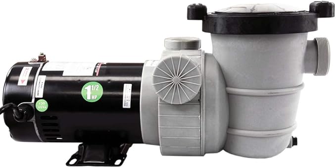 Rx Clear Dorado 1-1/2 HP Dual Port Pump | Above-Ground Swimming Pool Pump | 115V 9 Amps | See-Through Strainer Cover | Energy Efficient | Low Maintenance