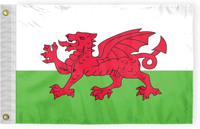 AGAS Wales Nautical Flag 12x18 inch Mini Welsh National Flag Outdoor 200D Nylon Double Stitched Hem