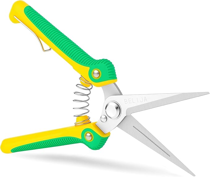 Gardening Scissors Hand Pruner Pruning Shear with Straight Stainless Steel Blades, Flower Cutter Garden Clippers, 8.1 Inch (Green)