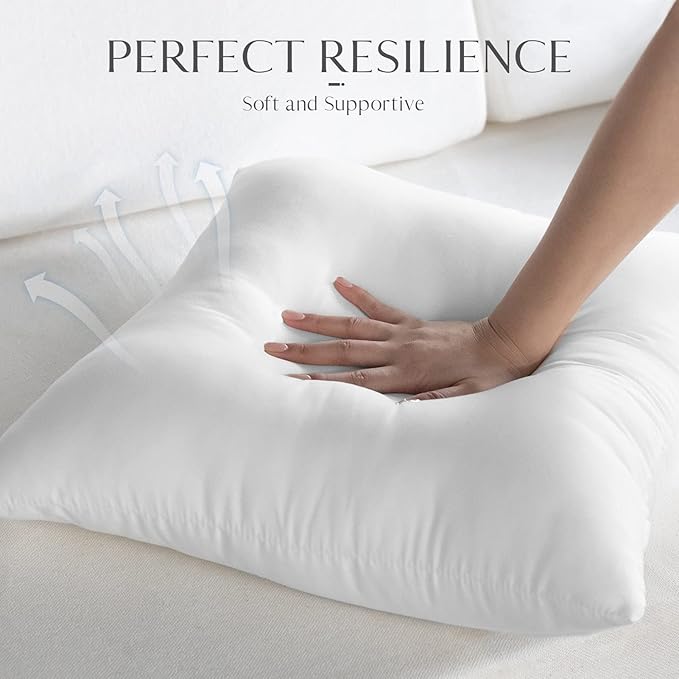 Ashler 20 x 20 Outdoor Pillows, Waterproof Inserts Set of 4 Water Resistant Throw Pillow Inserts, Hypoallergenic Pillows for Patio, Bench, Garden, Indoor Outdoor Summer Decorative