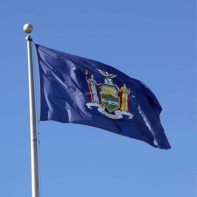 Bradford New York State Flag 3x5 feet Outdoor, 3 Ply Polyester Double Sided New York Flags Heavy Duty, NY State Flags with 2 Brass Grommets for Outsides House Long Lasting