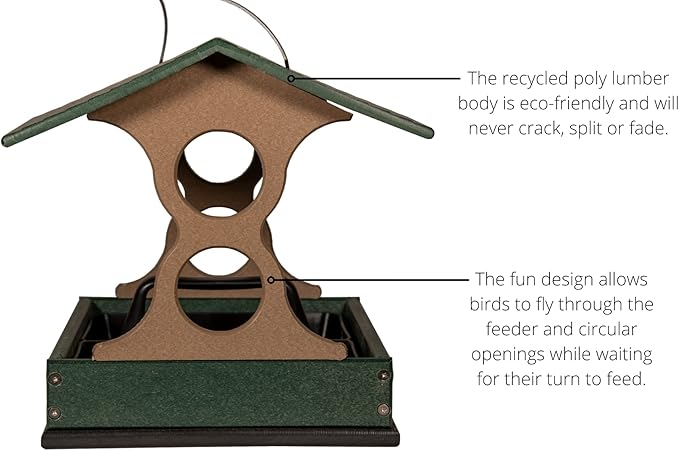 JCS Wildlife Medium Poly Fly-Thru Bird Feeder w/Removable Seed Tray - Holds 4 Cups of Bird Seed to Attract Cardinals, Chickadees, and More Backyard Birds (Green)