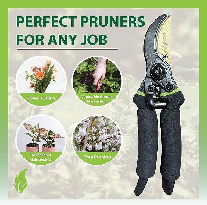 Garden Guru Soft Grip Garden Pruning Shears Scissors Clippers Hardened Titanium Blades Comfort Grips Heavy Duty Bypass Hand Pruners Branch Cutters for Gardening Trimming Bushes Flowers Plants (4 Pack)