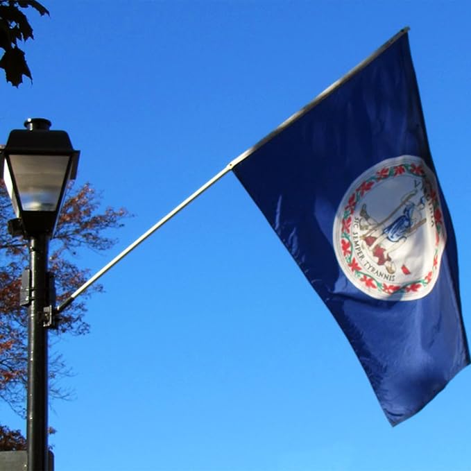 FLAGWIN Virginia Flag 3x5 FT - 3 Ply Double Sided Polyester Virginia State Flag with Brass Grommets - Vivid Color and Fade Proof State of Virginia Flags 3x5 Outdoor