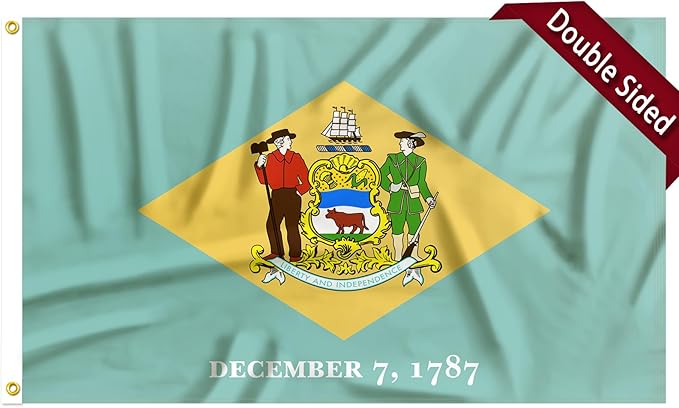 FLAGWIN Delaware Flag 3x5 FT - 3 Ply Double Sided Polyester Delaware State Flag with Brass Grommets - Vivid Color and Fade Proof State of Delaware Flags 3x5 Outdoor