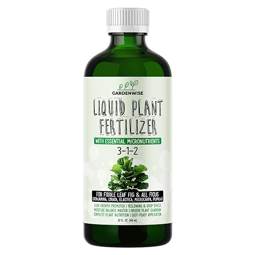 3-1-2 Liquid Fertilizer Concentrate with Micronutrients - Optimal Fiddle Leaf Fig Plant Food, Ideal for Ficus Lyrata & Fig Trees, Gold Leaf Enhanced Indoor Plant Fertilizer (32 OZ)