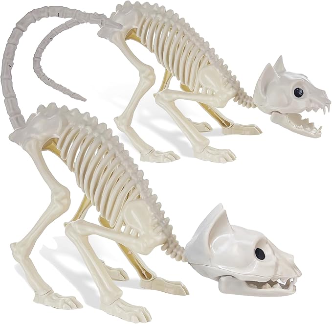 GIFTEXPRESS 2 Pack Real Size Cat Skeleton - 20" Long Creepy Kitten Skeletons with Posable Tail Halloween Decor - Indoor & Outdoor Haunted House Scary Animal Party Decoration