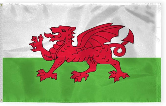 AGAS Wales Flag 5x8 ft 200D Nylon 6 Needle Lock Stitched Fly Hem Never Rust Brass Grommets Big Size Welsh National Flag