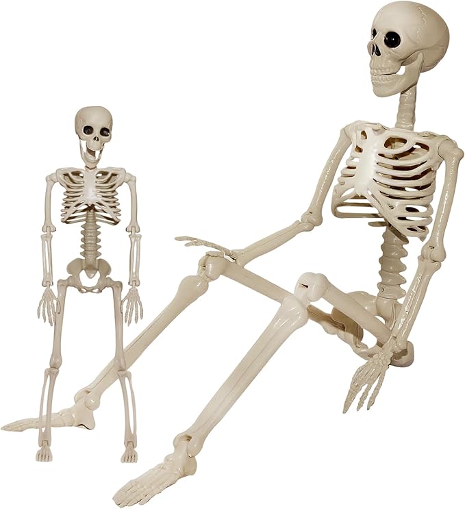 Skeleton Halloween Decorations Outdoor Indoor - 1Pcs 36" 1Pcs 16" Posable Plastic Skeleton,3FT Movable Joints Full Body Bones,Funny Halloween Decor for Party,Porch,Haunted House,Yard, Garden,Graveyard