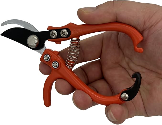 Upgrade Your Gardening Tools with Modern Pruning Shears – Precision Herb Snips, Flower Cutting Scissors, and Easy-Lock Safety Catch for Effortless Trimming.