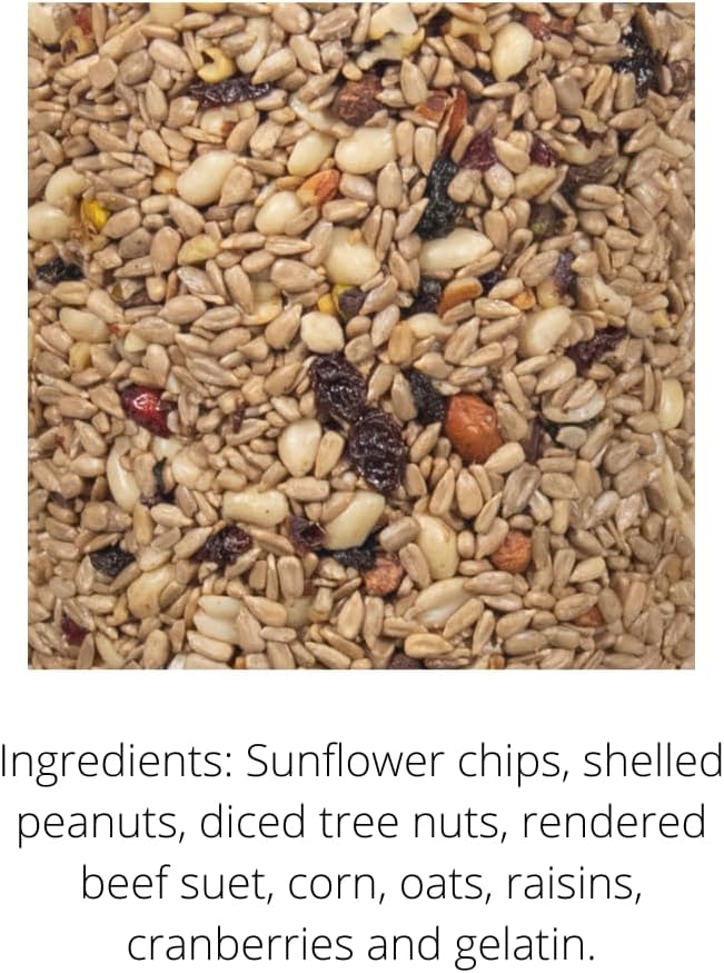 JCs Wildlife No Mess, No Waste Fruit Blend Premium Bird Seed Small Cylinder with Hole, 2 lb (4 Cylinder)