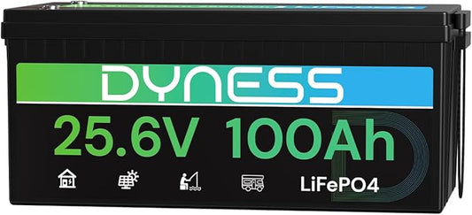 24V 100Ah LiFePO4 Battery, 25.6V Lithium Battery with 2560Wh Power, Built-in 100A BMS with Low Temp Protection, Supports 4P2S Connection, Up to 20.48kWh, Perfect for RV, Solar System, Marine