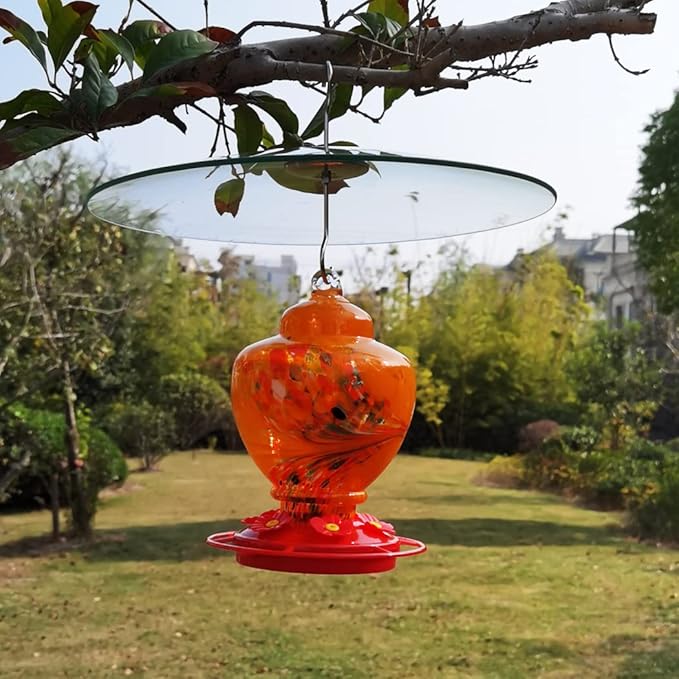 13" Glass Rain Cover for Bird Feeder Outdoors - Baffle on Shepherd Pole/Post or S Hook Hanging - Large Weather Guard Protective Dome - Clear (Dia. 33CM)