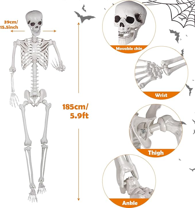 Halloween Skeleton, Realistic Life Size Skeleton with Movable Joints for Halloween Party Haunted House Indoor Outdoor Decoration (5.9ft-2P)