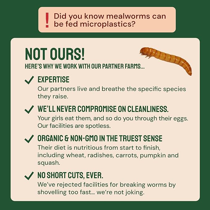 Hatortempt Bulk Dried Mealworms - 10 Lb Bag - Non-GMO Dried Mealworms for Chickens, Ducks & Wild Birds - High-Protein Chicken Feed & Bird Food