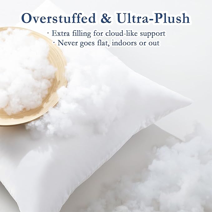 puredown® 22x22 Outdoor Pillow Inserts, Set of 2, Fluffy Soft Waterproof Down Alternative Square Form Sham Stuffer for Porch Swing Sofa Couch Cushion Patio Furniture