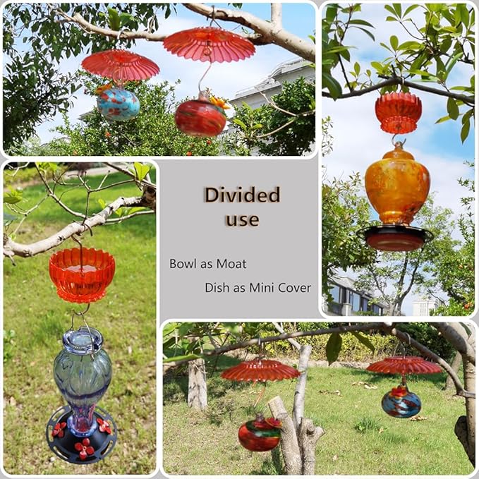 Ant Moat for Hummingbird Feeder - Freestyle 9 OZ Extra Large Capacity Insect Guard - Red Daisy Bowl & Dish