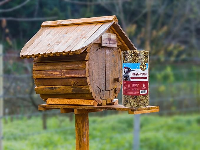 Birdseed Cylinders with Hole - Bird Seed for Outside Wild Birds (Small Cylinder, Redhead Special 1pc)