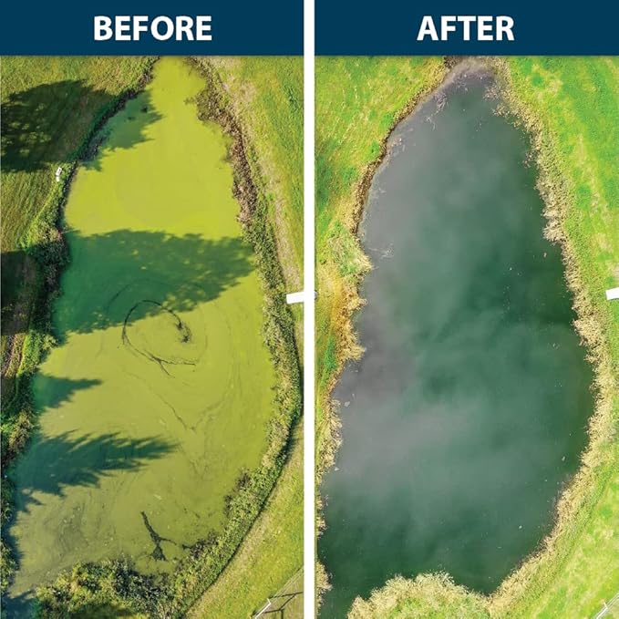 Airmax Knockdown Defense 2-in-1 Liquid Pond Algae Control, Effective & Fast Acting Algaecide, Aquatic Weed Treatment for Clear Water in Ponds & Lakes, Liquid Formulation for Easy Use, 16 fl oz