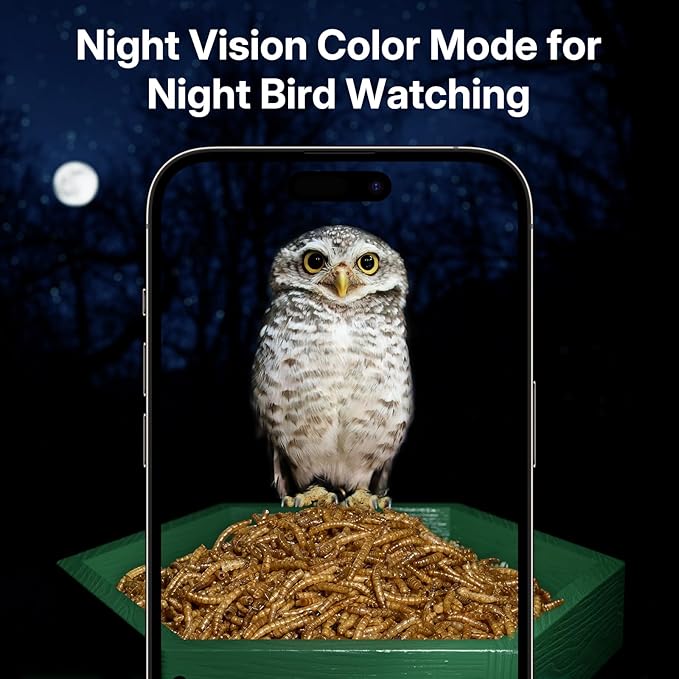 Kingsyard by Titto Solar Smart Bird Feeder with Camera, Bird Feeder Camera with AI Identify Birds Species & 2K HD Live View, Auto Capture Videos, Green (Pole Included)
