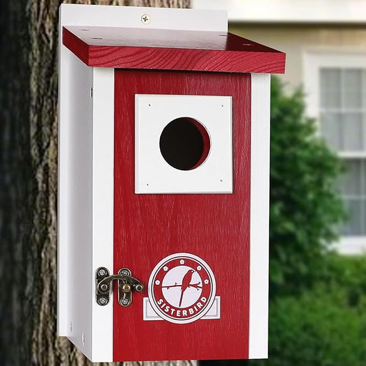 Bird Houses for Outside, Claret-Red Bird House, Bluebird Houses for Outside, Garden Decoration Birdhouses for Outdoors, Bluebird Finch Swallow Wren Chickadee