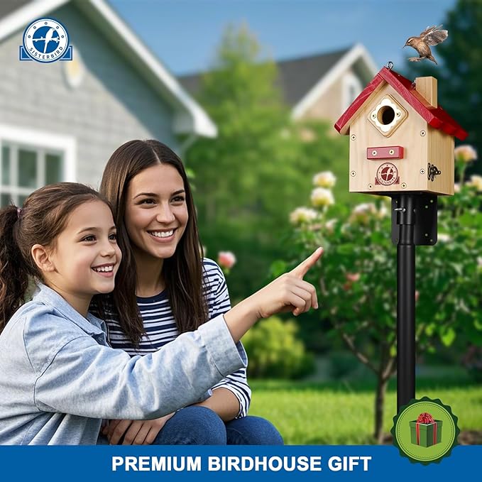 Wren Bird House, Premium Wooden Bird Houses for Outside, Classic Cabin Design Birdhouses for Outdoors, Hanging Bird House, Red-Breasted Nuthatch Wren Chickadee