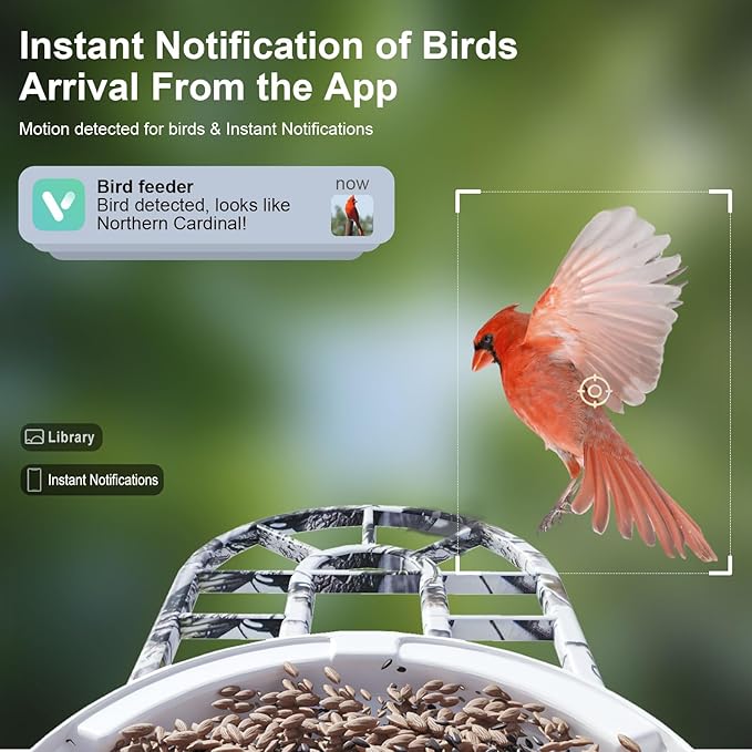 DCT Smart Bird Feeder with Camera: 1080P HD AI Identify 11K+ Species Weatherproof Squirrel Alert APP Control 2-Way Audio for Bird Lovers Garden/Backyard Outdoor Watching Gift