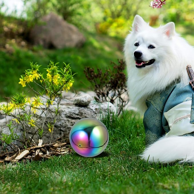 Stainless Steel Ball Stainless Steel Gazing Ball Globe Mirror Multi Color Mirror Reflective Garden Sphere for Outdoor Decor 15Cm