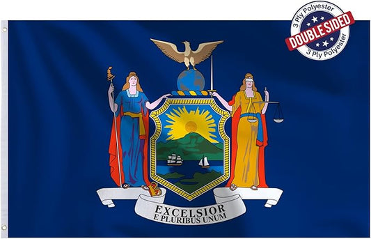 Bradford New York State Flag 3x5 feet Outdoor, 3 Ply Polyester Double Sided New York Flags Heavy Duty, NY State Flags with 2 Brass Grommets for Outsides House Long Lasting
