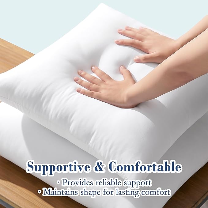 puredown® 20x20 Outdoor Pillow Inserts, Set of 2, Fluffy Soft Water-Resistant Down Alternative Square Form Sham Stuffer for Porch Swing Sofa Couch Cushion Patio Furniture