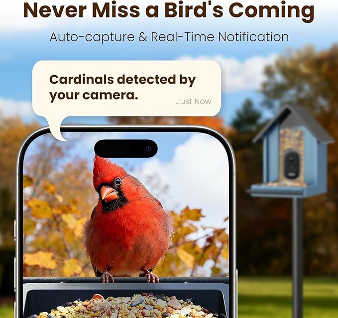 Metal Smart Bird Feeder with Camera, 2.5K UHD Bird Camera AI Identifies 11,000+ Bird's Species, Real-time Bird's Videos & Pictures, Solar Powered Wireless Outdoor, Ideal Gift