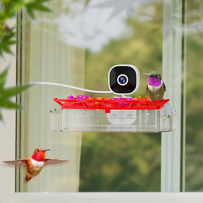 Smart Window Humming Bird Feeder Camera, AI Identifies Species in 2K HD, with Ant Moat & Secure Suction Mount - The Ultimate Gift for Hummingbird Lovers (Transparent)