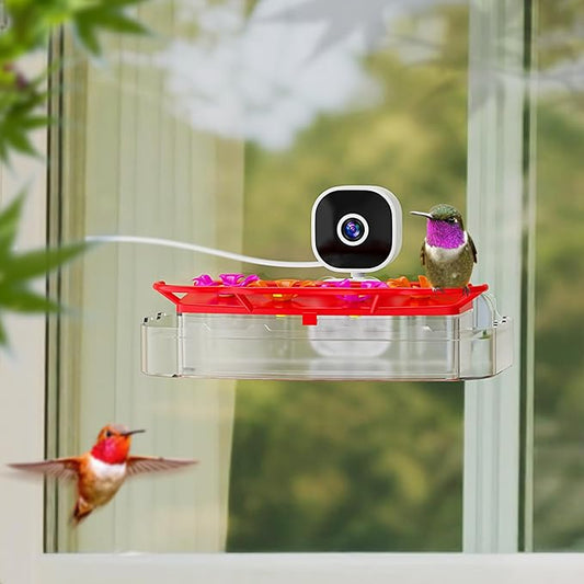 Smart Window Humming Bird Feeder Camera, AI Identifies Species in 2K HD, with Ant Moat & Secure Suction Mount - The Ultimate Gift for Hummingbird Lovers (Transparent)